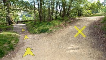 A photo of step 22 of the Shining Tor Walk route, with yellow arrows superimposed to show the way.