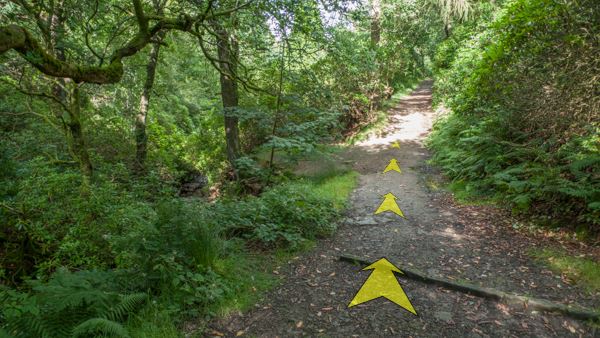A photo of step 11 of the Shining Tor route, with yellow arrows superimposed to show the way.