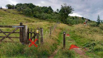 A photo of step 5 of the Shutlingsloe Walk route, with red arrows superimposed to show the way.