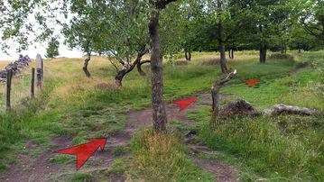 A photo of step 6 of the Shutlingsloe Walk route, with red arrows superimposed to show the way.