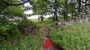 A photo of step 7 of the Shutlingsloe Walk route, with red arrows superimposed to show the way.