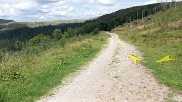 A photo of step 24 of the Shutlingsloe Walk route, with yellow arrows superimposed to show the way.