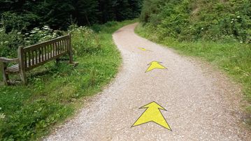 A photo of step 25 of the Shutlingsloe Walk route, with yellow arrows superimposed to show the way.