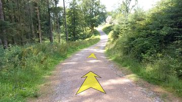 A photo of step 26 of the Shutlingsloe Walk route, with yellow arrows superimposed to show the way.