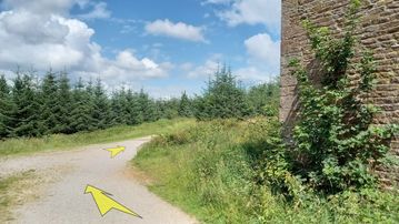 A photo of step 27 of the Shutlingsloe Walk route, with yellow arrows superimposed to show the way.