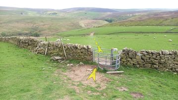 A photo of step 12 of the Three Shires Head Walk route, with yellow arrows superimposed to show the way.