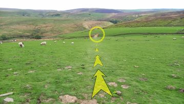 A photo of step 13 of the Three Shires Head Walk route, with yellow arrows superimposed to show the way.