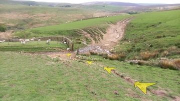 A photo of step 14 of the Three Shires Head Walk route, with yellow arrows superimposed to show the way.