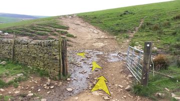 A photo of step 15 of the Three Shires Head Walk route, with yellow arrows superimposed to show the way.