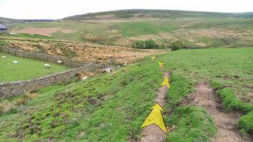 A photo of step 16 of the Three Shires Head Walk route, with yellow arrows superimposed to show the way.