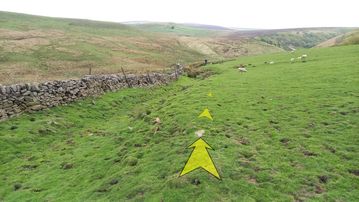 A photo of step 18 of the Three Shires Head Walk route, with yellow arrows superimposed to show the way.