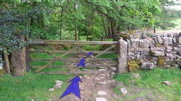 A photo of step 30 of the Three Shires Head Walk route, with blue arrows superimposed to show the way.