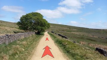 A photo of step 4 of the Wildmoorstone Valley Walk route, with red arrows superimposed to show the way.