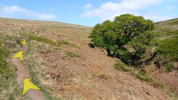 A photo of step 10 of the Wildmoorstone Valley Walk route, with yellow arrows superimposed to show the way.
