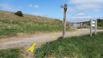 A photo of step 11 of the Wildmoorstone Valley Walk route, with yellow arrows superimposed to show the way.